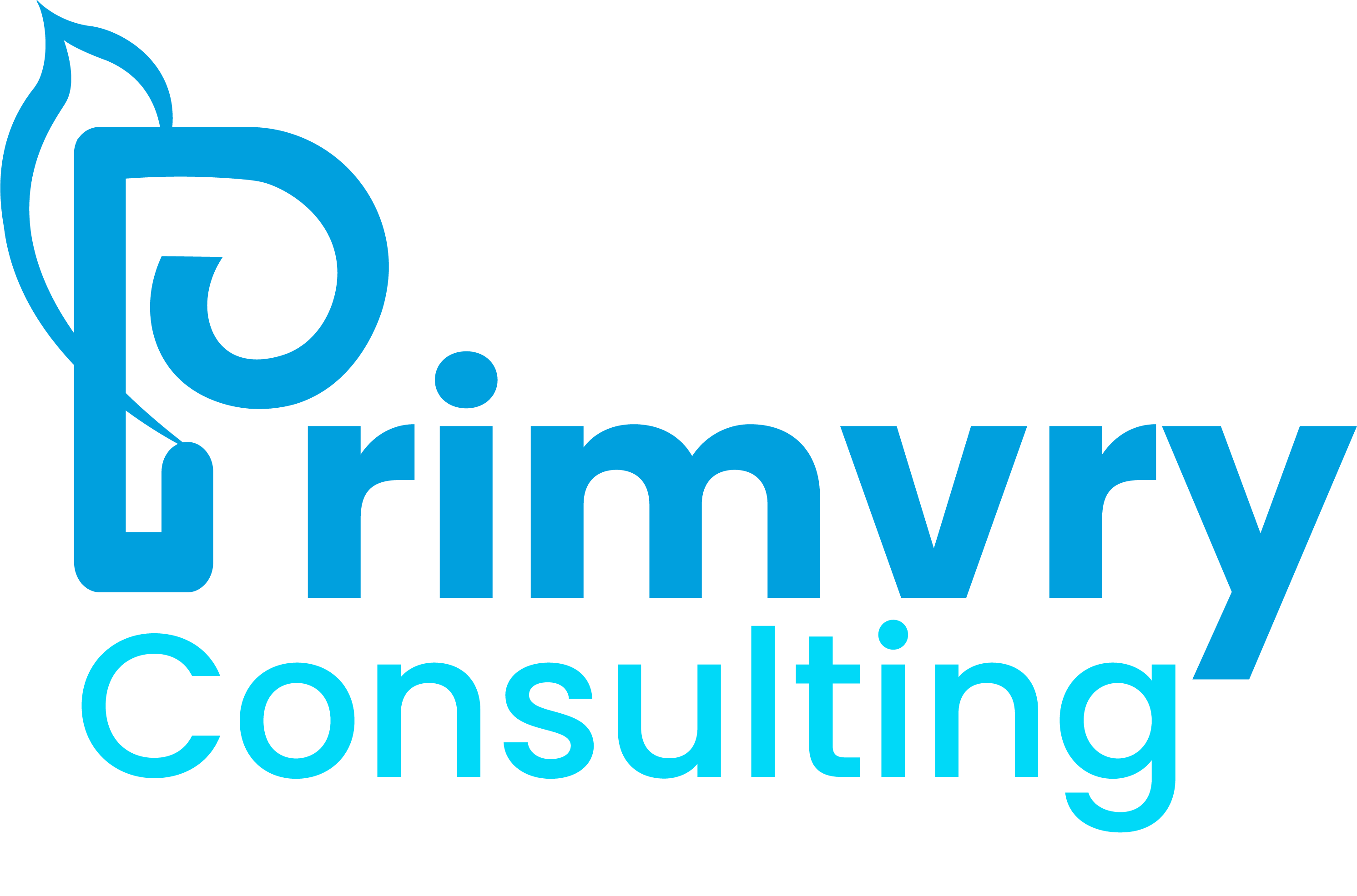 Primvry Consulting - logo 3